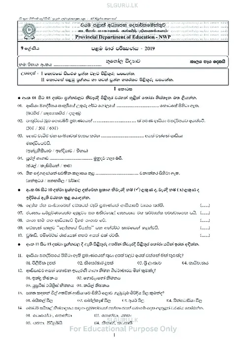 Grade 9 Geography First Term 2019 North Western Province (SM) thumbnail